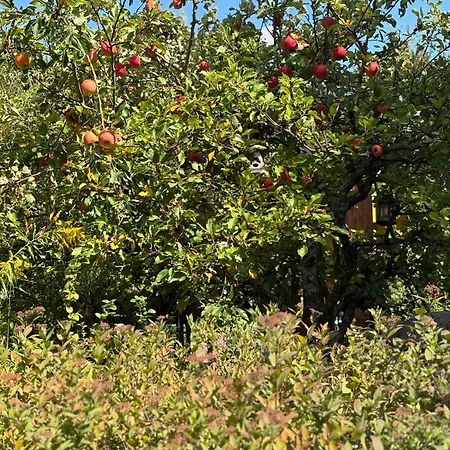Gaestehaus Am Himmelreich *