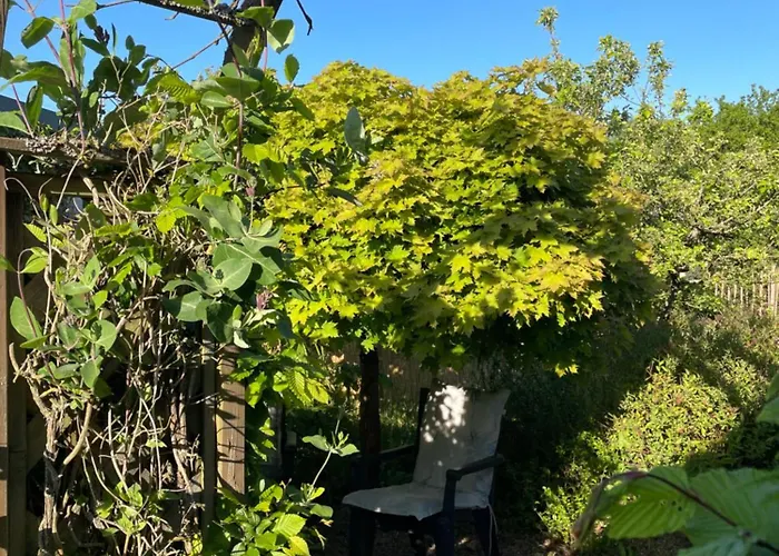 Am Himmelreich Apartment Otterbach