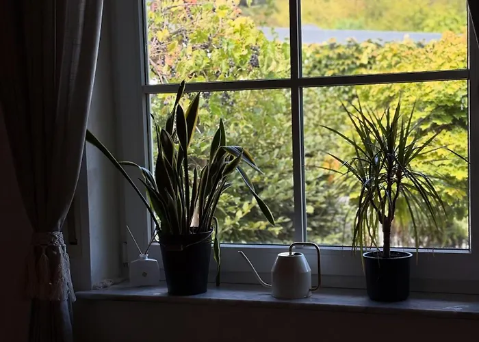 Apartamento Gaestehaus Am Himmelreich